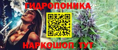 jwh Кимры