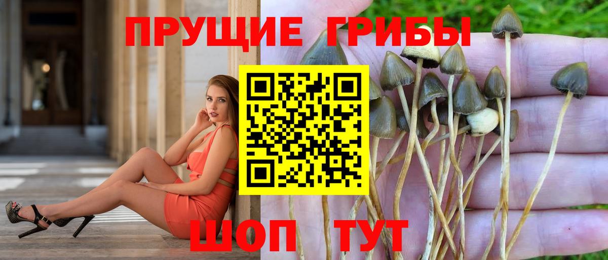 Псилоцибиновые грибы мухоморы  Галлюциногенные грибы мицелий  Вход с VPN  Ивантеевка 